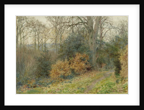 Path Through the Wood, 1902 by Wilmot R.W.S. Pilsbury