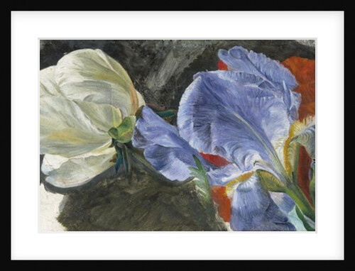 A Study of Flowers by Emily Stannard