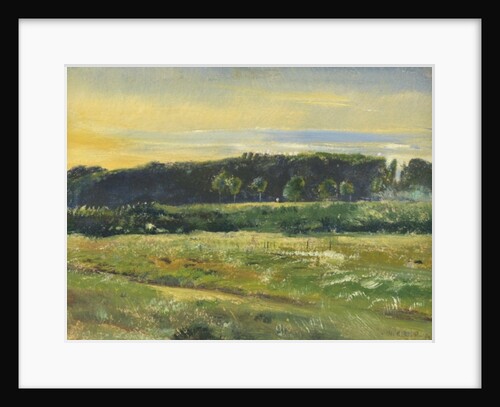 The Common, June, 1871 by John William Inchbold