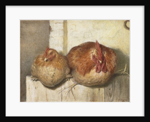 Forty Winks, 1865 by J.G. Marks