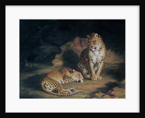 A Pair of Leopards, 1845 by William Huggins