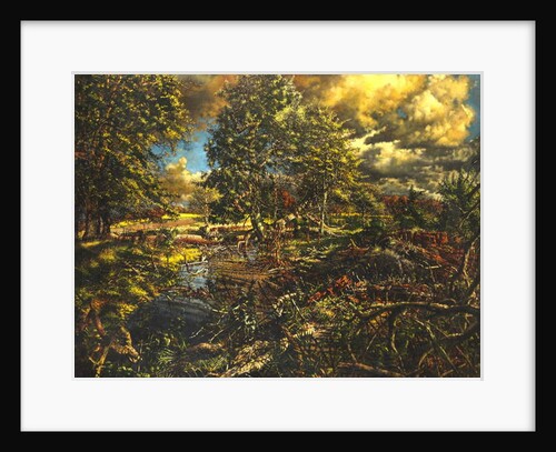 Nailbourne Spring Stream, Bourne Park by Kenneth Newton