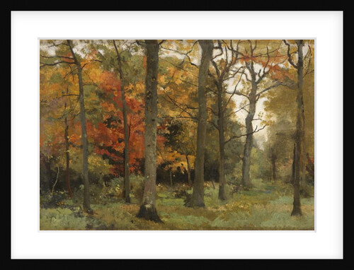 Autumn Leaves by Cyrus Johnson