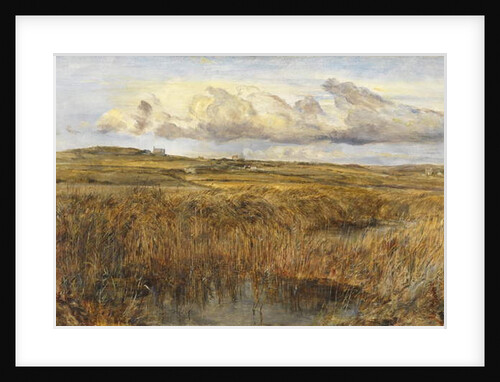 Rhoscolyn, Anglesey by William Joseph J.C. Bond
