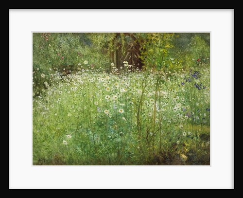 Oxeye Daisies and Irises, 1920 by Arthur Hacker