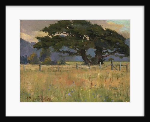 A Meadow beneath Mountains, 1897 by Edward Reginald Frampton