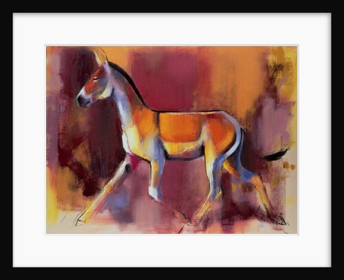 Wild Ass, Rann of Kutch, 1996 by Mark Adlington