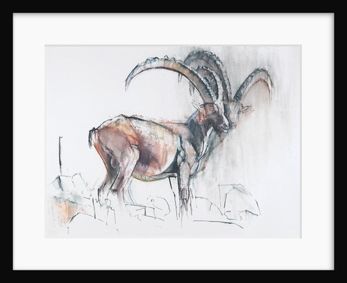 Col di Vermianaz by Mark Adlington