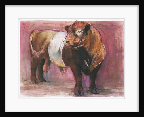 Zeus, Red Belted Galloway Bull, 2006 by Mark Adlington