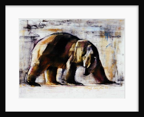 Arctic, 1999 by Mark Adlington