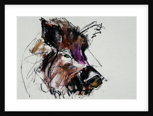 Dzik, 1990s by Mark Adlington