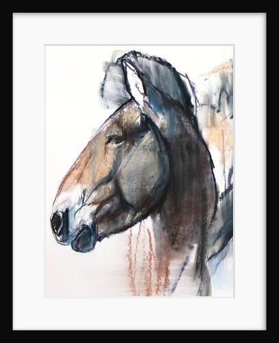 Head Study, Przewalski, 2013 by Mark Adlington