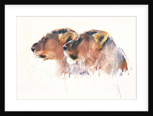 Sisters, Etosha, 2017 by Mark Adlington