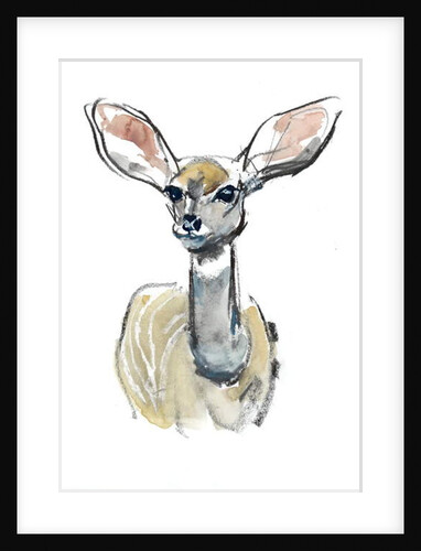 Kudu Fawn, Sarara, 2018 by Mark Adlington