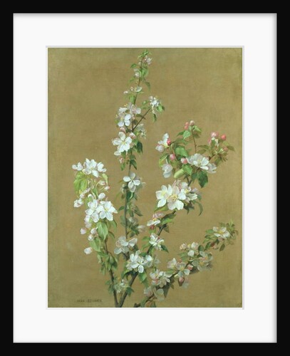 Apple Blossom by Jean Benner
