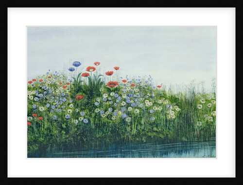 Poppies by a Stream by Andrew Nicholl