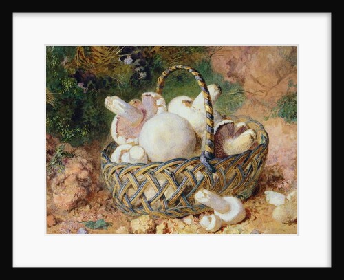 A Basket of Mushrooms, 1871 by Jabez Bligh