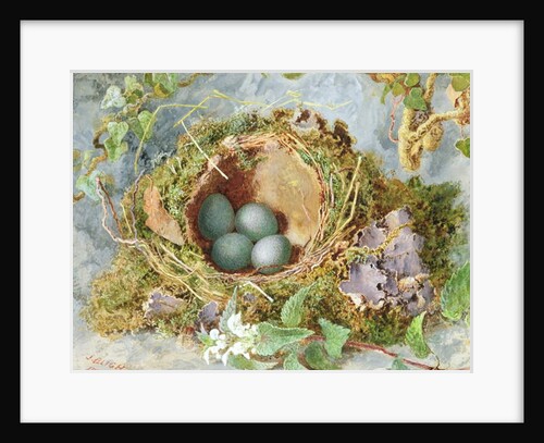 A Nest of Eggs, 1871 by Jabez Bligh