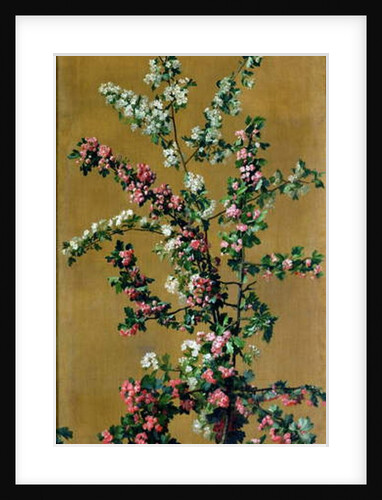 Japanese Cherry Tree and Hawthorn Branches by Jean Benner