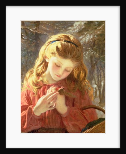 A New Friend, 19th century by Sophie Anderson