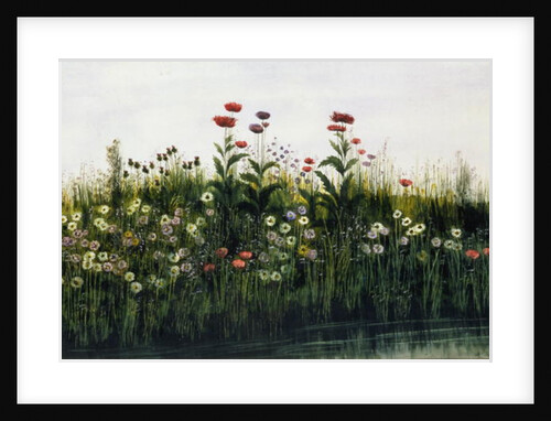 Poppies, Daisies and Thistles on a River Bank by Andrew Nicholl