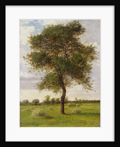Study of an Ash Tree in Summer, 1883 by James Hey Davies