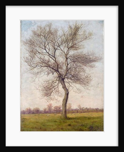 Study of an Ash Tree in Winter, 1883 by James Hey Davies