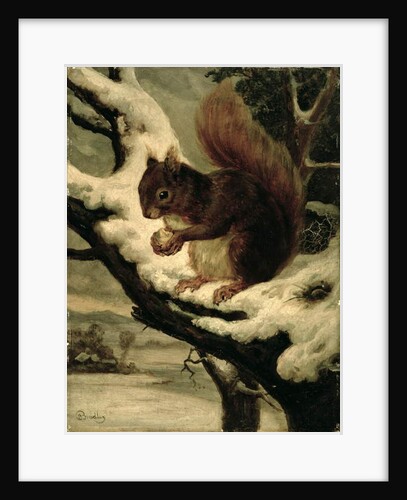 A Red Squirrel Eating a Nut by Basil Bradley