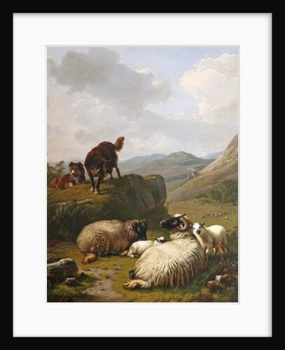 Sheep and dogs, 1861 by Eugene Joseph Verboeckhoven