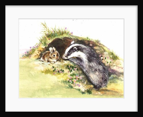 Badger and a Rabbit by Diane Matthes