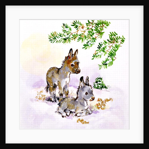 Donkeys by Diane Matthes