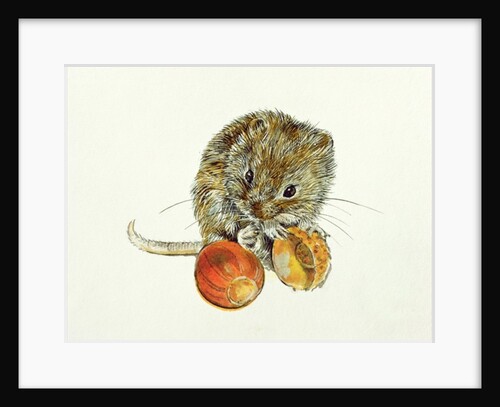Vole with an Acorn by Diane Matthes