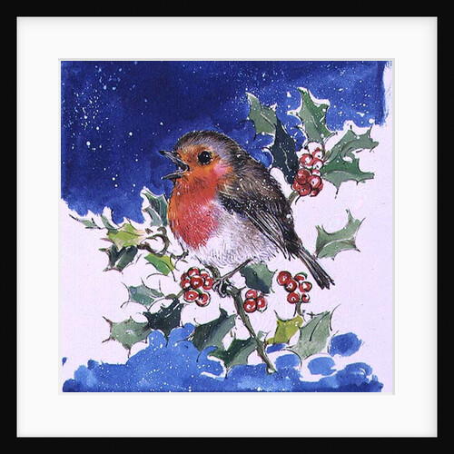 Robin Red-breast, 1996 by Diane Matthes