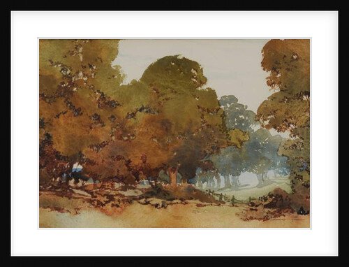Gum trees by William Blamire Young