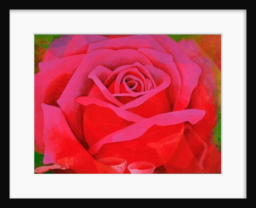 The Rose, 1995 by Myung-Bo Sim