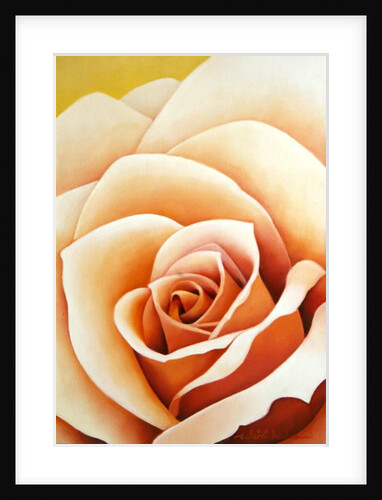 The Rose, 2003 by Myung-Bo Sim