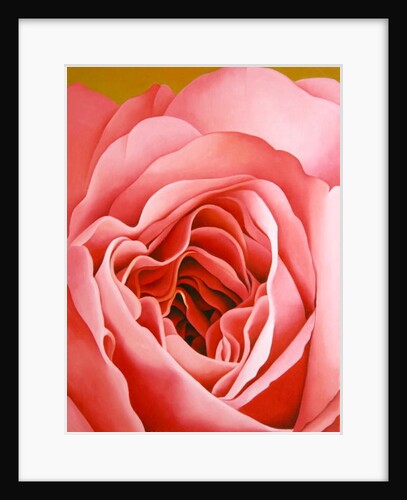 The Rose, 2004 by Myung-Bo Sim