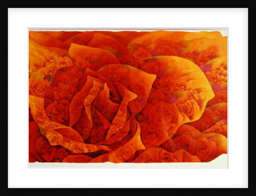 A Great Rose, c.2002-03 by Myung-Bo Sim