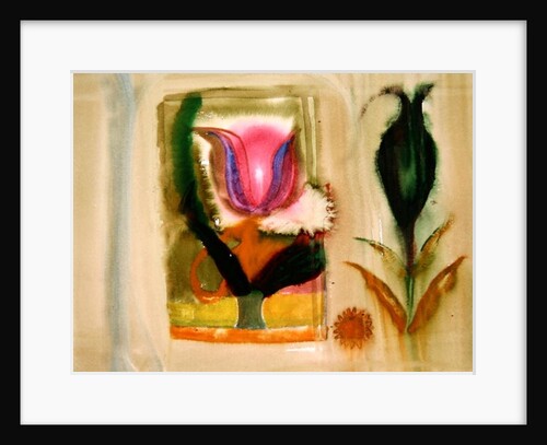 Flower burst by Michael Chase