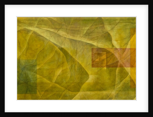Evolution, 2004 by Mathew Clum