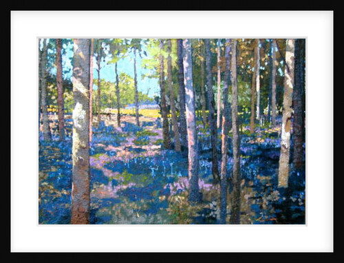 Bluebell Wood, 2009 by Martin Decent