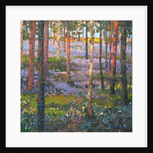 Late Bluebell Wood, 2014 by Martin Decent