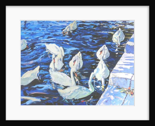 Swans, 2000 by Martin Decent