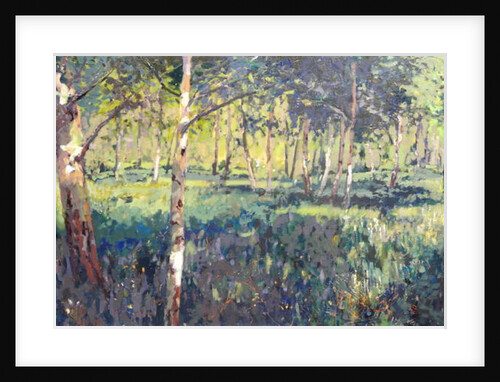 Woodland, 2014 by Martin Decent