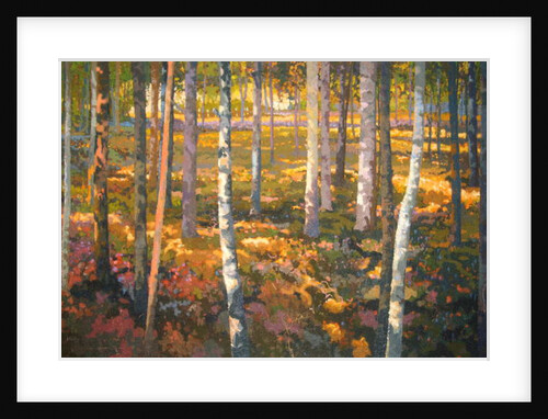Through the Trees, 2014 by Martin Decent