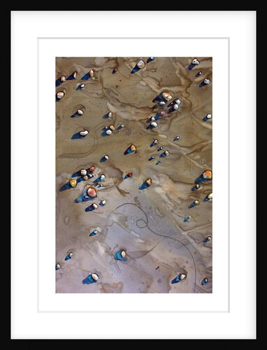 Pebbles by Michael Frith
