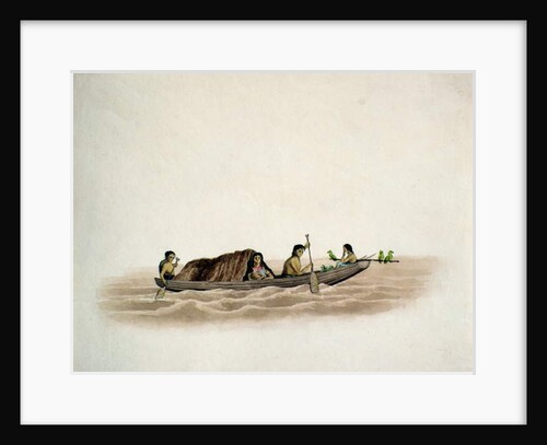 Arawaka Indian-Demerara by English School