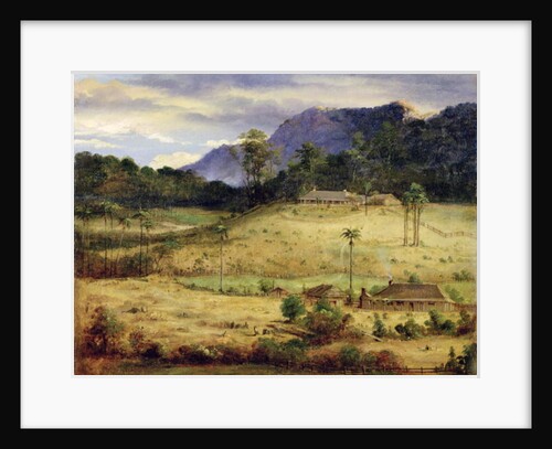 Homesteads, c.1850 by Australasian School