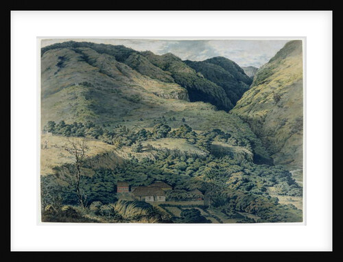 Ravine and River at St. Denis, Bourbon, 1814 by T. Bradshaw