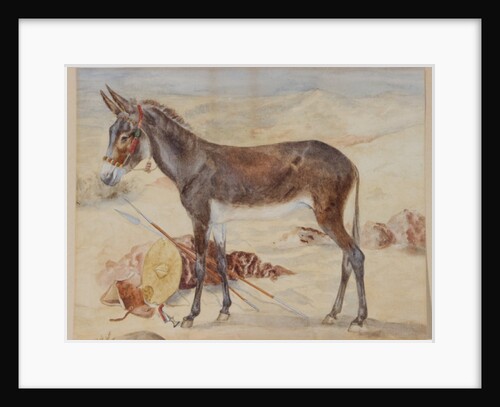 Mule by English School